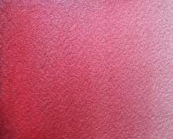 Rosa Berverly - PR122 + Perlescent