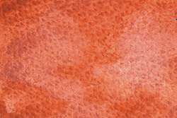 Pintura acuarela granulosa HWC Artists' Watercolour™ Holbein, 5 ml, Naranja flamenco  