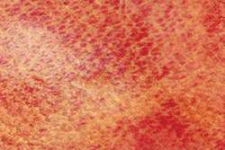 Pintura acuarela granulosa HWC Artists' Watercolour™ Holbein, 5 ml, Rojo eclipse lunar 