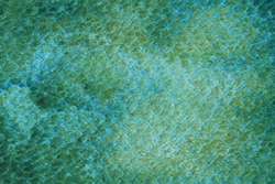 Pintura acuarela granulosa HWC Artists' Watercolour™ Holbein, 5 ml, Verde pavo real 