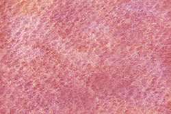 Pintura acuarela granulosa HWC Artists' Watercolour™ Holbein, 5 ml, Violeta crepúsculo 