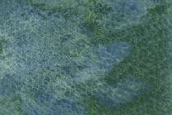 Pintura acuarela granulosa HWC Artists' Watercolour™ Holbein, 5 ml, Verde gris echinos 
