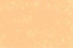 Butternut PO82