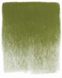 Amarillo Hansa muy oscuro