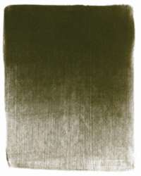 Verde amarillo muy oscuro