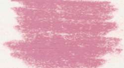 Rosa violeta claro V