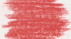 Rosa permanente oscuro II