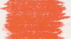 Rosa permanente claro II