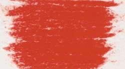 Rosa permanente claro I