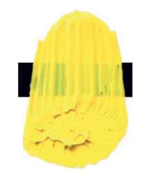 Amarillo arilida claro – PY3