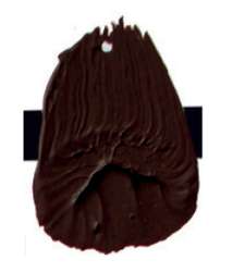 Tierra sombra tostada – PBr7