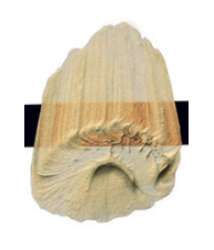 Naranja interferencia – N/A