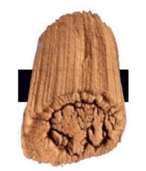 Cobre iridiscente – N/A