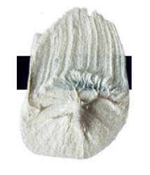 Perla interferencia – N/A