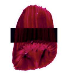 Rojo quinacridona – PV19