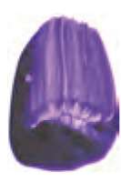 Violeta outremer rojo - PV15