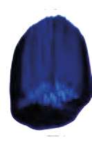 Azul ultramar moderno - PB29, PB15:3