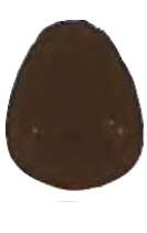 Tierra de sombra tostada - PBr7