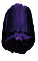 Violeta dioxazina - PV23