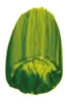 Verde dorado - PY150, PG36