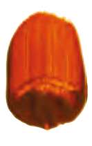 Amarillo dorado - PO48, PY150