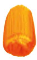 Amarillo indio - PY110