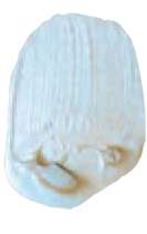 Azul interferencia - N/A