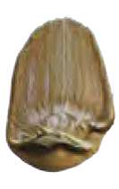 Bronce iridiscente - N/A