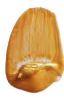 Oro oscuro iridiscente - N/A