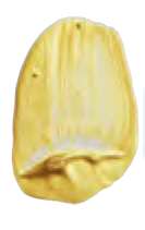 Oro iridiscente - N/A