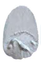 Plata iridiscente - N/A