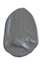 Gris neutro - PBk11, PW6, PBr7