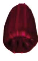 Marrón perm. - PV19 PR141, PB15:3