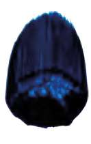 Azul phtalo verde - PB15:3