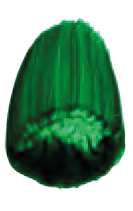 Verde phtalo amarillo - PG36