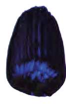 Azul de Prusia teñido - PB15:1, PV23