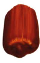 Tinte de óxido rojo - PW6, PY42, PR101