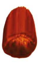 Óxido de oro transparente - PR101,  PY110