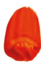 Naranja transparente perm. - PO71