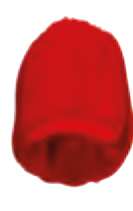 Rojo perma trans claro - PY110, QScarlett