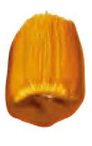 Óxido amarillo transparente - PY42