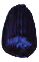 Azul ultramar clásico - PB29