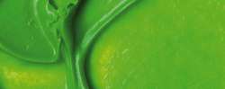 Verde fluoresente
