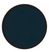 Ballena jorobada B6.7