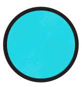 Periquito azul BG0.2