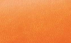 Mandarina