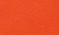mandarina