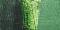 Verde vejiga