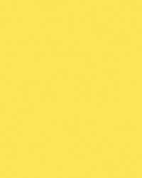 Amarillo limon