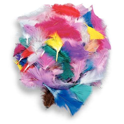 Mezcla de plumas decorativas 